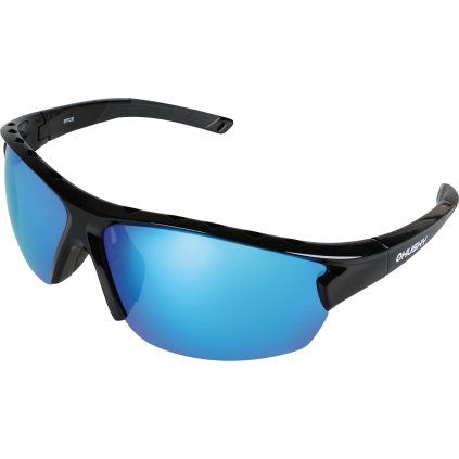 Sportovní brýle HUSKY Spice black (Velikost OneSize)