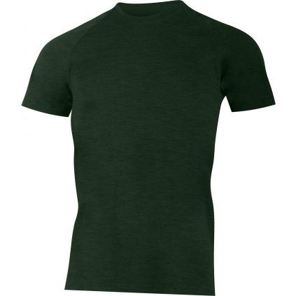 Pánské merino triko LASTING Carlos zelené (Velikost M)