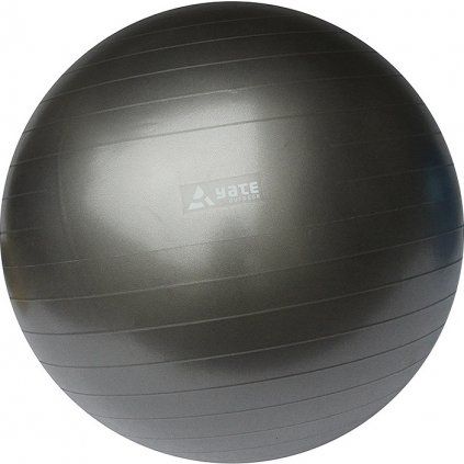 1470 sa04621 gymball 55 cm seda vcetne pumpicky