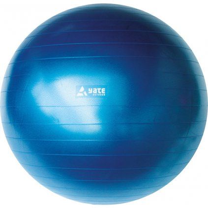 2019 sa046310 gymball 65 cm modra
