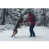 Městský batoh HUSKY Robber 25l žlutý (Velikost OneSize)