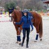 Dámská jezdecká bunda PROGRESS Kora Lady modrá (Velikost XS)